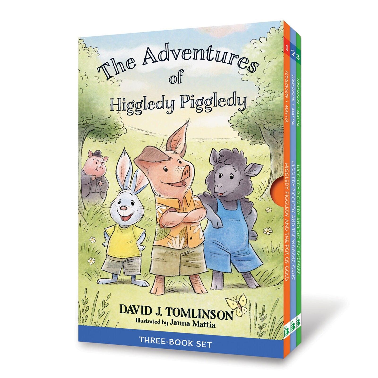 The Adventures of Higgledy Piggledy | Box Set | Loyola Press